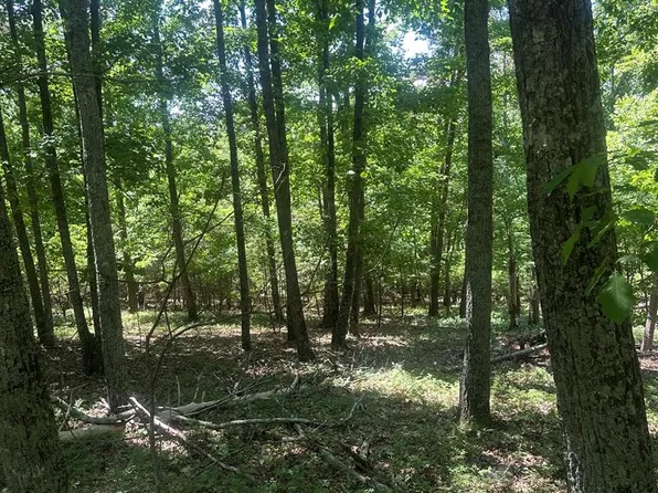 0 Owl Ridge Way, Jasper, GA 30143