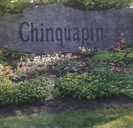 2nd image of 37 Chinquapin