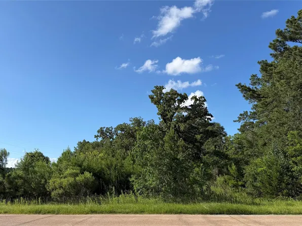 908 N Hendrix Ave, Diboll, TX 75941