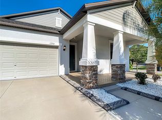 13901 Snowy Plover Ln, Riverview, FL 33579
