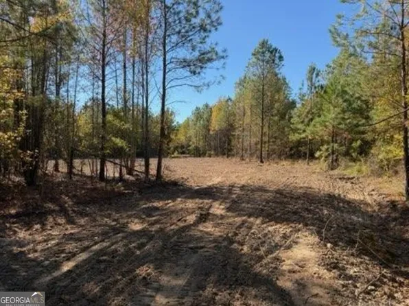0 Netherland Rd, Midville, GA 30441