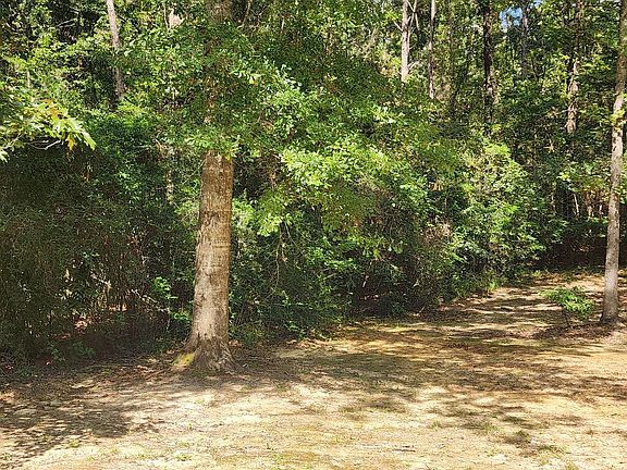 2nd image of McGregor Rd