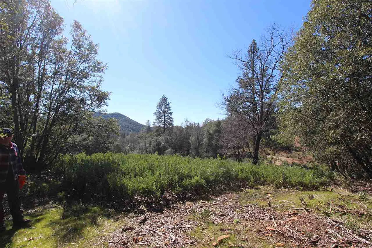 0 Sawmill Flat Rd photo 1