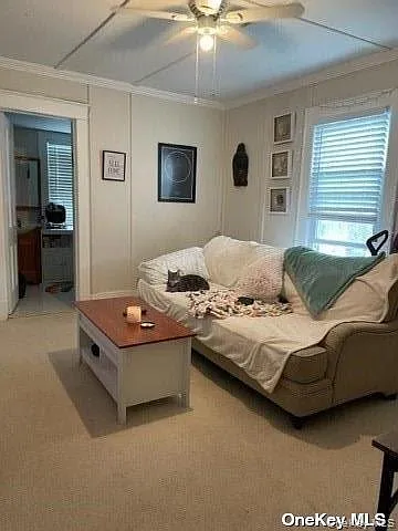 177 Main St #C4 — Photo 3