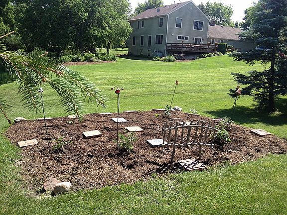 Vegetable garden in backyard
