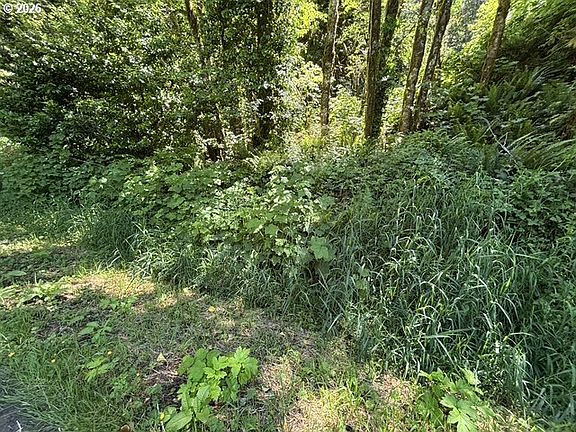 3rd image of Sweet Creek Rd