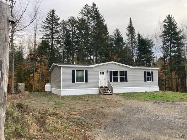 10240 Riggerman Rd, Remsen, NY 13438