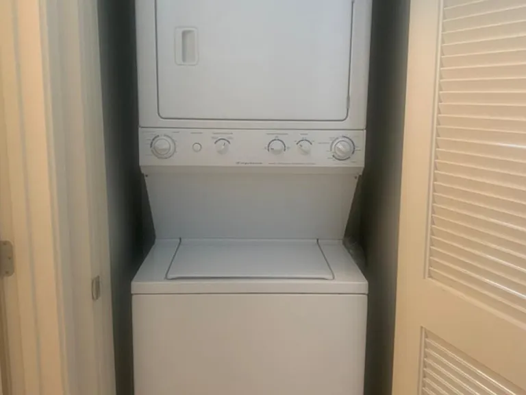 155 S Court Ave #1407 — Photo 12