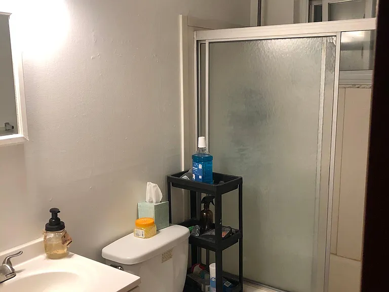 515 Decatur Ave #1 — Photo 10