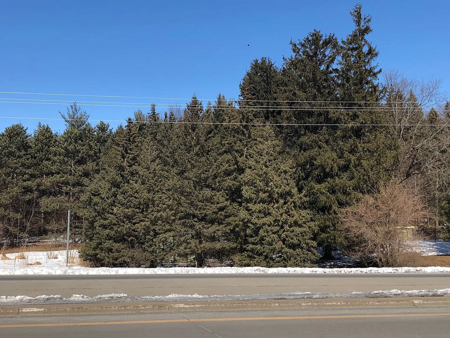 3 bedroom 2 bath home on 2.5 acre Wooded lot. Small dogs allowed with pet deposit. — Photo 3