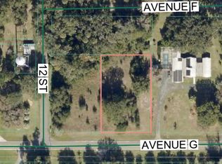Avenue G Lot 52, Mc Intosh, FL 32664