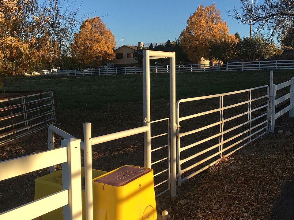 House looking from the lane