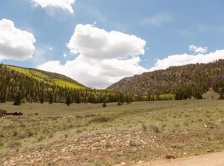 374 Big Bear Rd, Creede, CO 81130