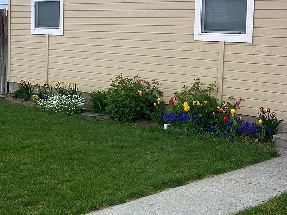Front walk