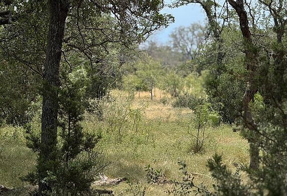 3rd image of 159 Mormon Creek Rd