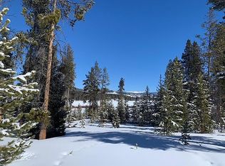 62 Shady Ln, Tabernash, CO 80478