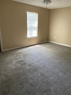 5th image of 364 Schneider Dr