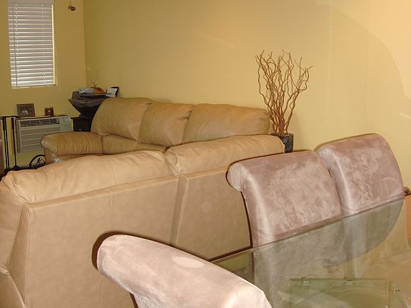 Dining Area/Living Room