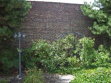 3rd image of 15516 Detroit Ave