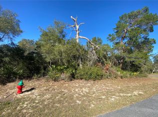 SW 154th Ln LOT 12-13, Ocala, FL 34473