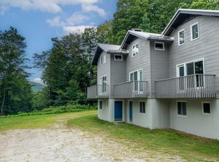 1 Silver Birch Rd, Bondville, VT 05340