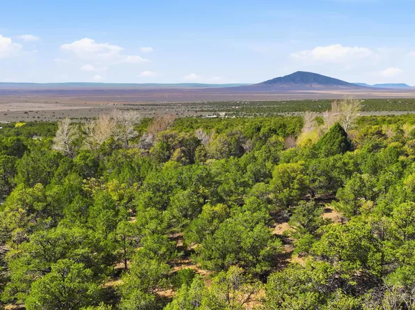 Vir Sylvia Road Plus Acres #4, Questa, NM 87556