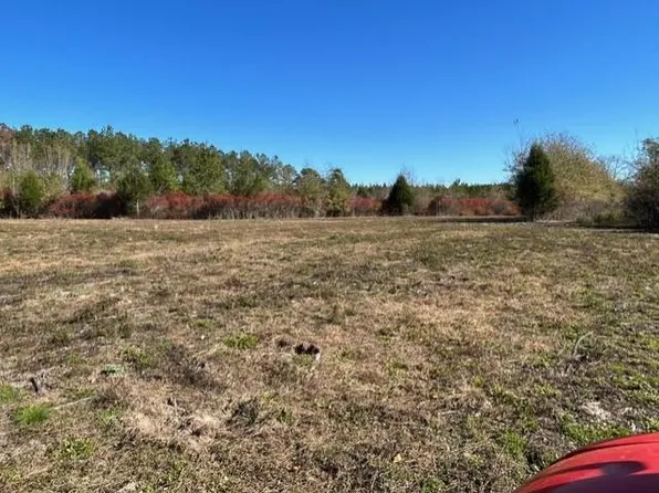 0 Highway 239, Clayton, AL 36016