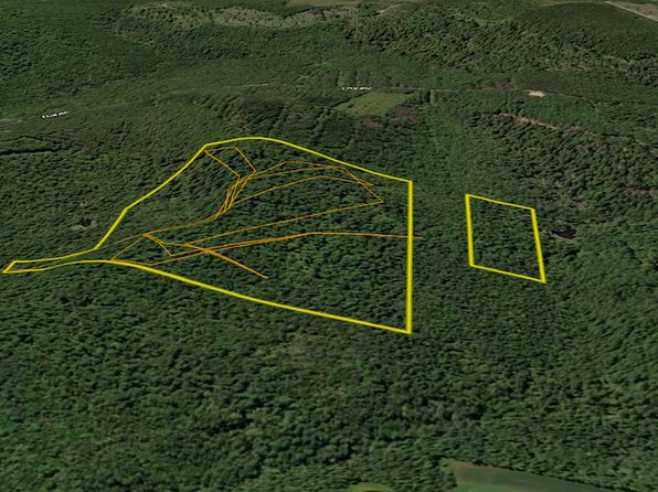 0 Fox Rd LOT WP001, Apalachin, NY 13732