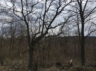 Holly Rd, Paxinos, PA 17860