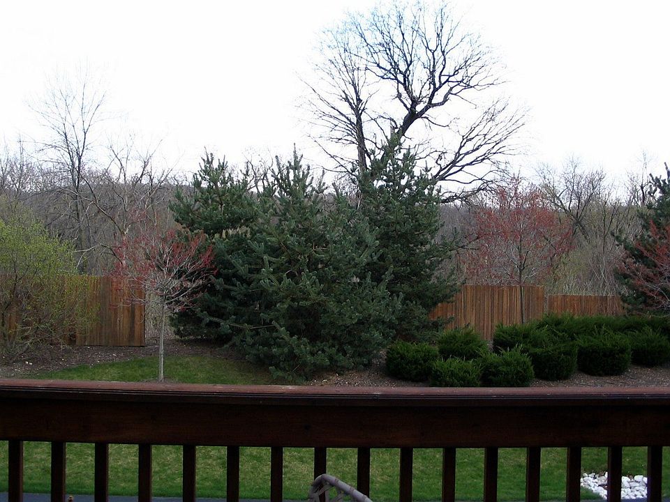 Deck view