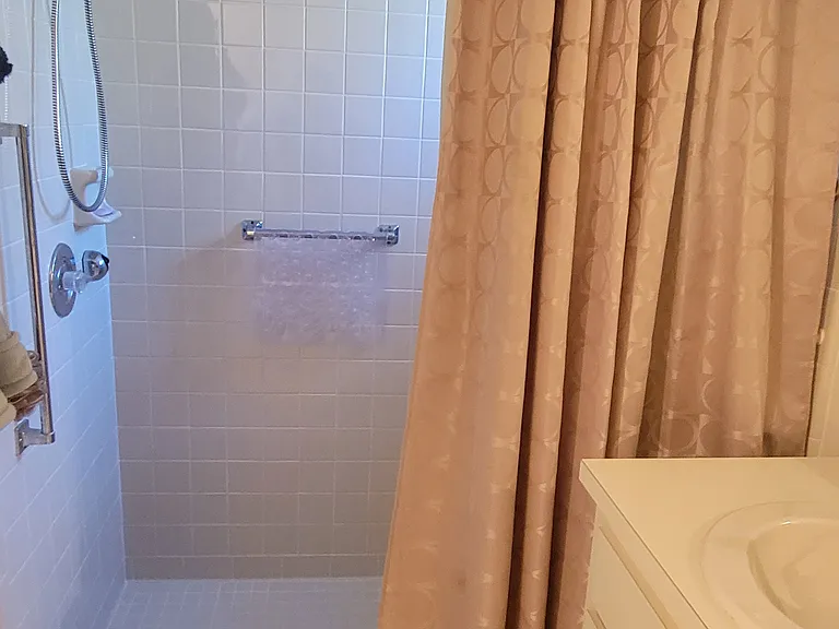 Pine Meadows master bath_02152023