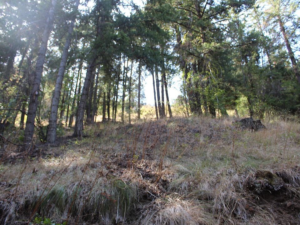 1st image of Nna Pine Cliffs Ave Lot 33