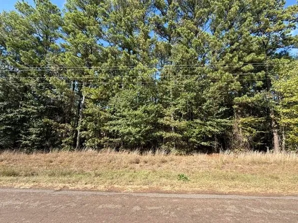 Tbd Curtis Black Rd, Hallsville, TX 75650