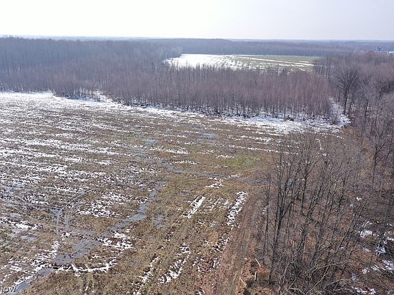 2nd image of Adams Rd