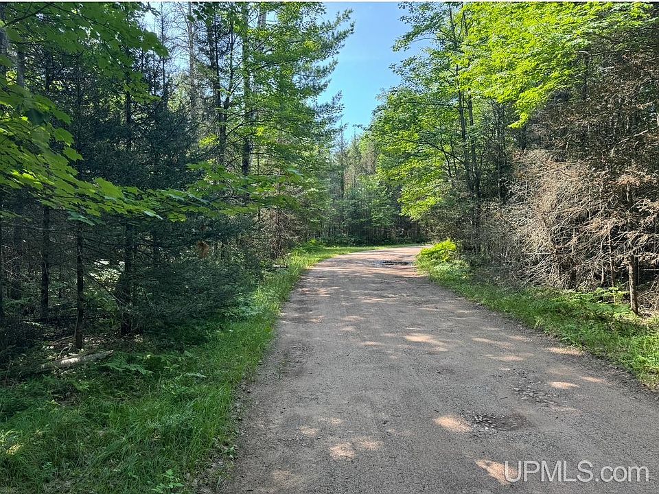 2nd image of N Pond Ln