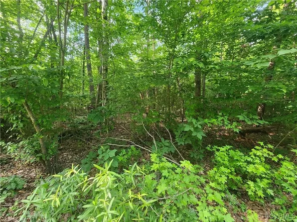 1645 Palmore Rd, Powhatan, VA 23139
