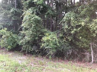 NW 90th St, Chiefland, FL 32626