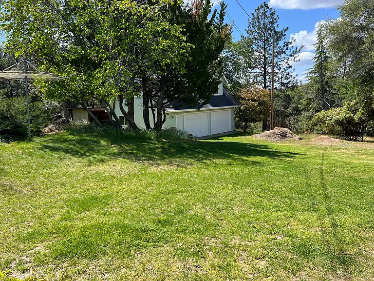 16838 Lively Wood Ln — Photo 20