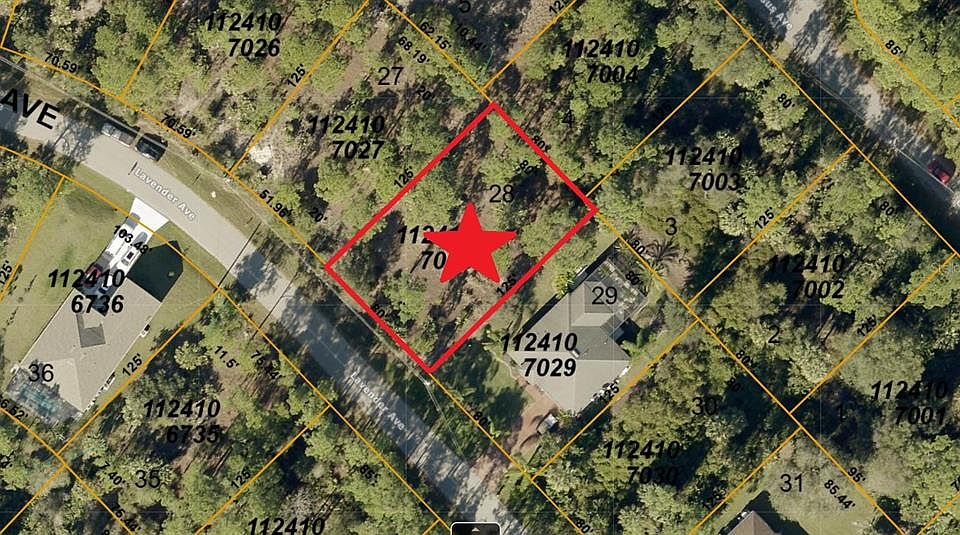 1st image of 28 Lavender Ave