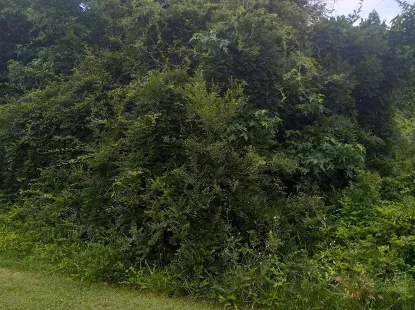 0 Lewis Estates Ln Lot 5, Spotsylvania, VA 22553