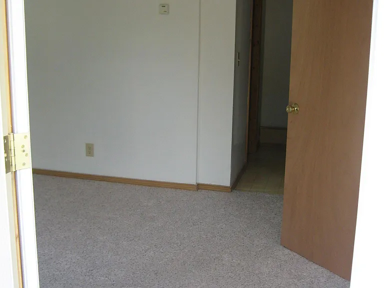 917 Forest Ave — Photo 5