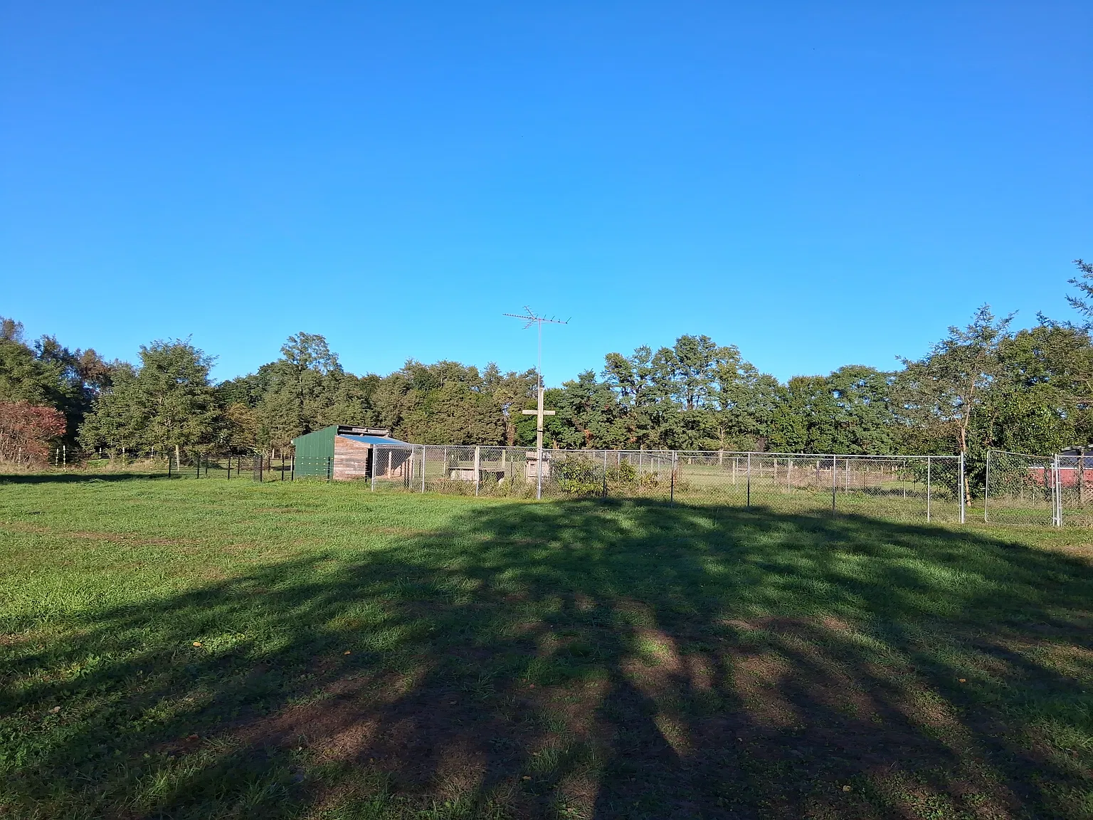 3 bed, 1378 sqft, $2,000 — Photo 4