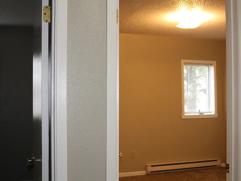 Apt 202 - 27_11192019