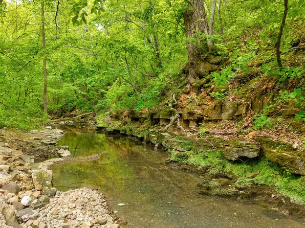 000 Woodland Drive, Hartville, MO 65667