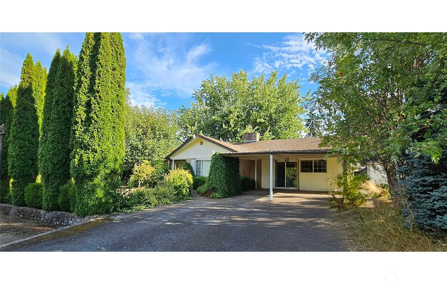 1710 Shamrock Drive photo 1