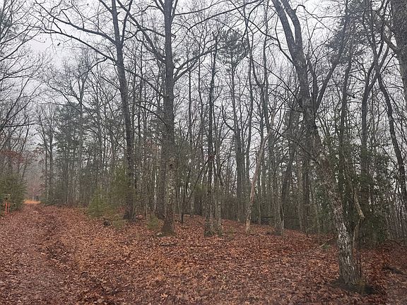 4th image of 97ACRE Winchester Creek Rd