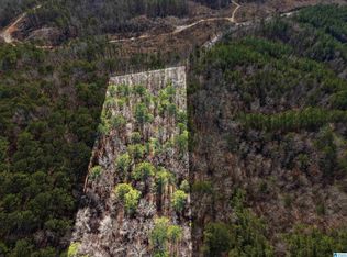 15045 Lock 17 Rd #1, Adger, AL 35006