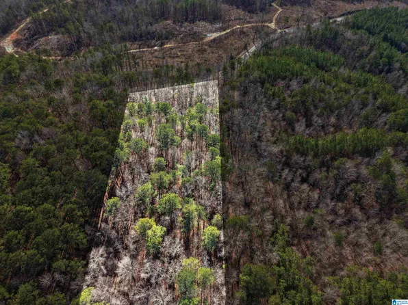 15045 Lock 17 Rd #1, Adger, AL 35006