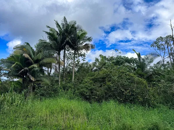 38th Ave Lot 1, Kurtistown, HI 96760
