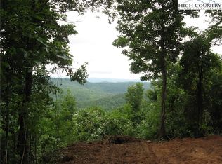 Tbd Big Ivy Rd, Purlear, NC 28665